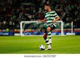 篮球CBA球队阵容调整优化